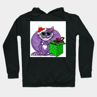 Santa Kitty with Eye Catching Gift Hoodie